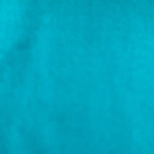 Meet your Posher, Jamila